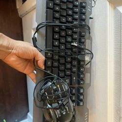 Keyboard And Mouse (PC/MAC)