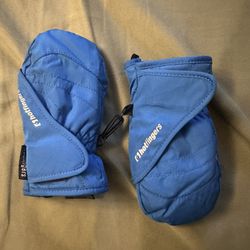 Toddler Snow Gloves
