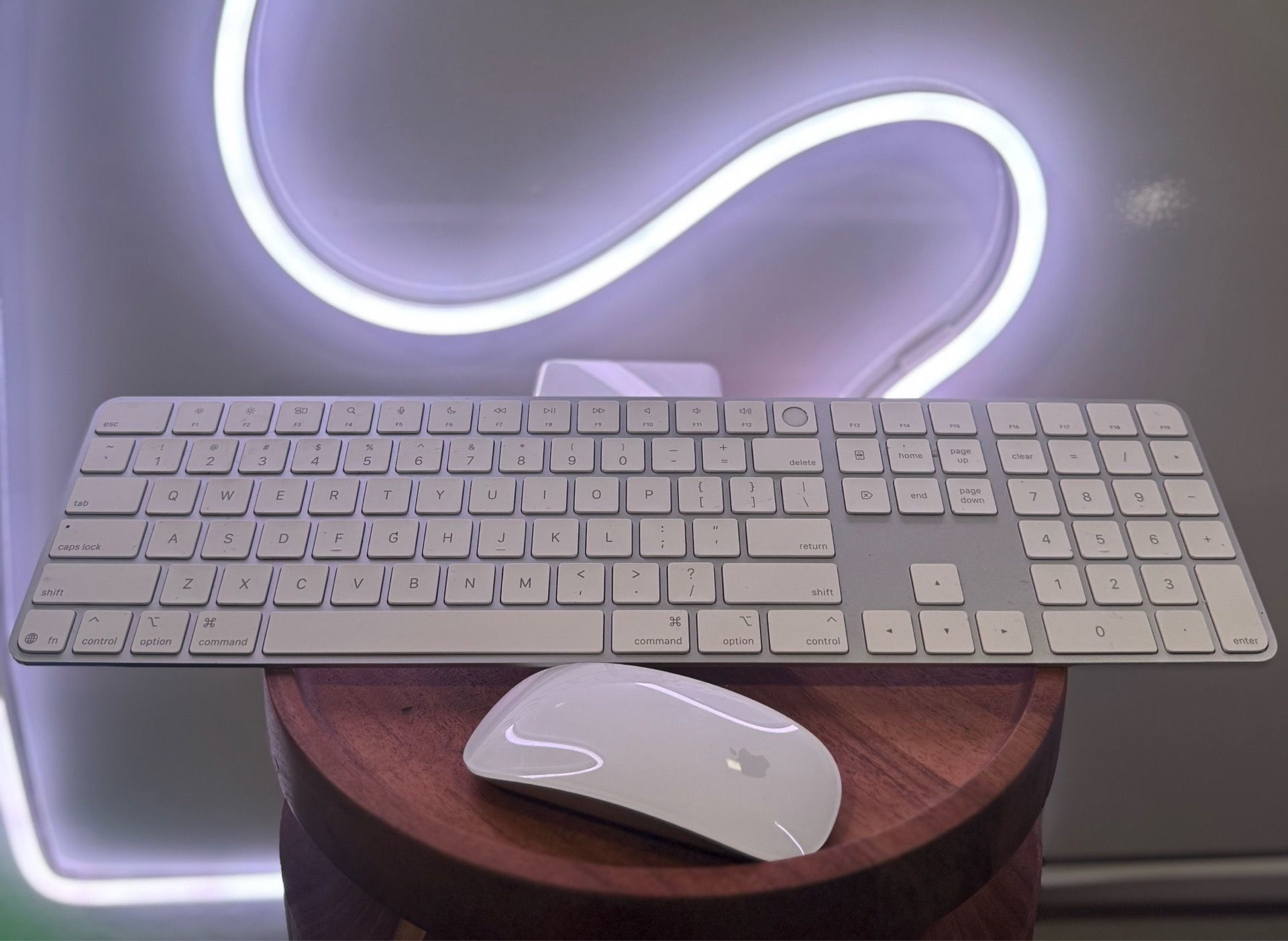 Apple Magic Keyboard with Touch ID and Apple Magic Mouse