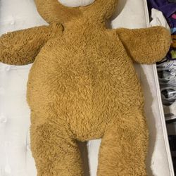 Huge teddy bear 