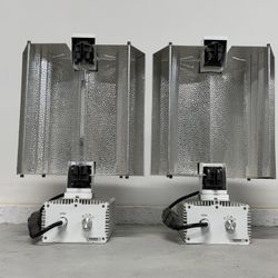 1000w Grow Light 
