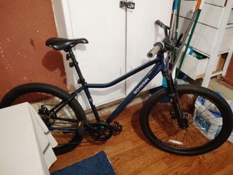 Schwinn Junction bike