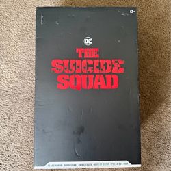 Suicide squad 5-pack Dc multiverse
