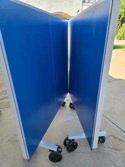 Outdoor/Indoor Table Tennis 