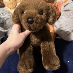 Douglas chocolate lab plush