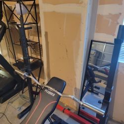 Squat Rack +  Olympic Curl Bar