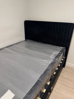 Full size bed frame and box spring