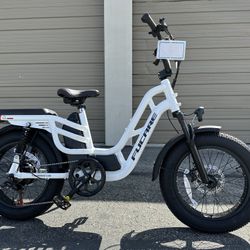 FUCARE Libra 20” Dual Suspensions 750 Watt Fat Tire Electric Bike In White 