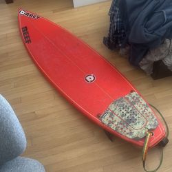 Darcy reef surfboard