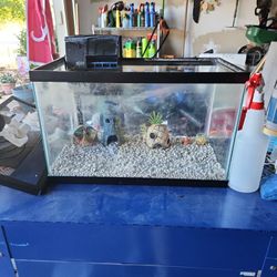 20 Gallon Fish Tank 