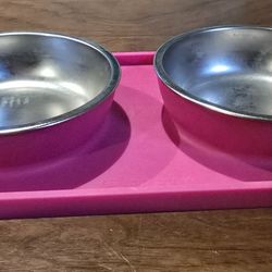 Silicone Mat with Double Dog Bowls
