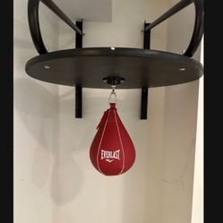 Speed Bag Everlast