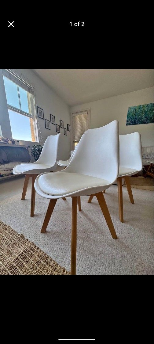 Dining Chairs