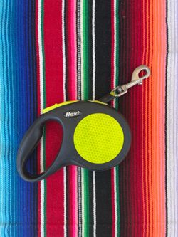 Flexi Retractable Tape Dog Leash Small 16-ft