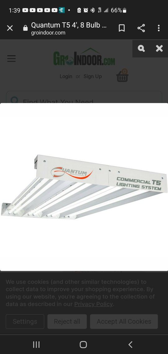 QUANTUM T5 4', 8 BULB FIXTURE, 277V