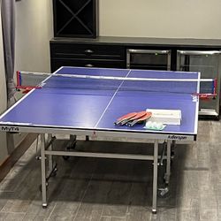 Killer Spin Ping Pong Indoor Table