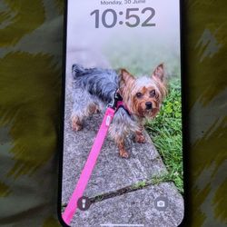 At&T iPhone 15 Pro Max Has iCloud But Still Work