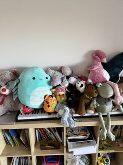 Plush Toys