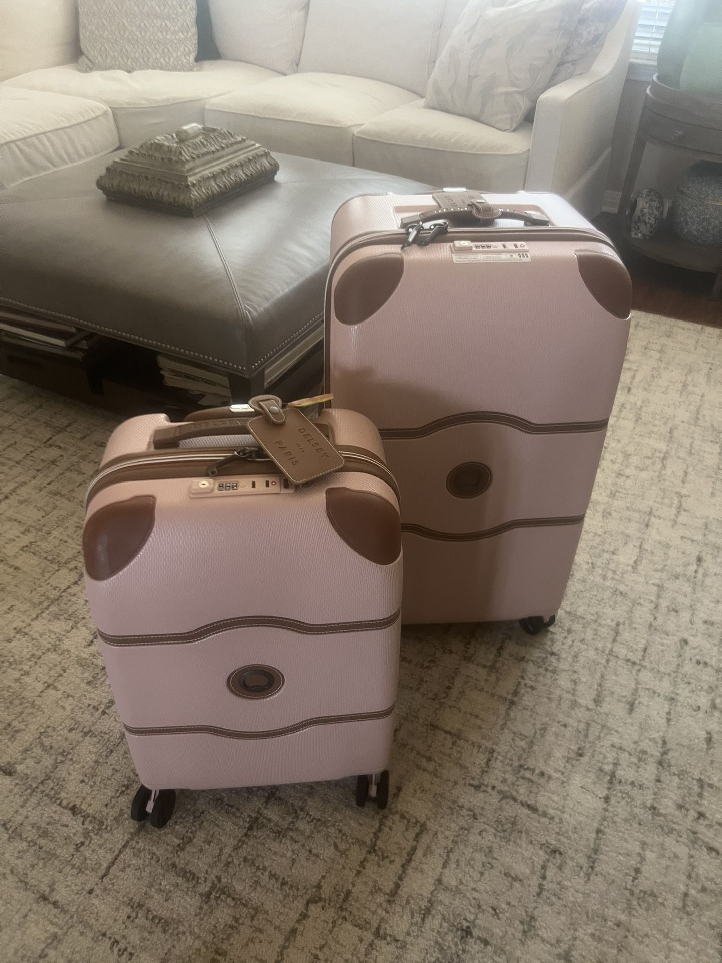 Delay Paris Suitcases