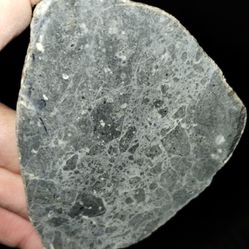 70 Gram Eucrite Melt Breccia Meteorite Slice 