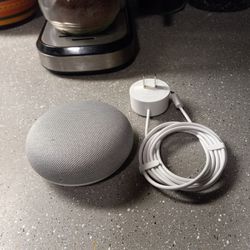 Google Home Mini