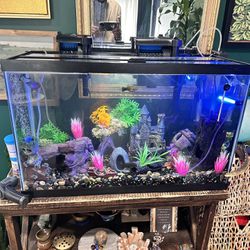30 Gallon Fish Tank Top Fin With 2 Filters 20 Gallon Filter Deceration  Not Included