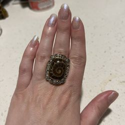 Ammonite Fossil Ring