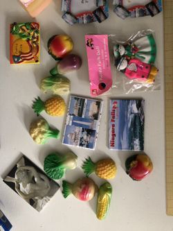 Canada, Korea, Italy,  Washington DC, Puerto Rico, Fruits, fridge magnets lot