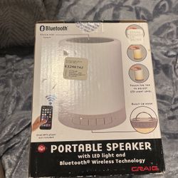 portable speaker with led light bluetooth wireless