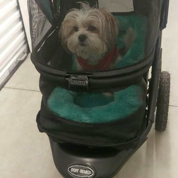 Pet Stroller