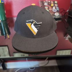 Mitchell And Ness Penguins Hat
