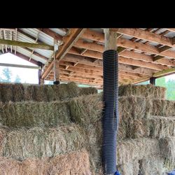 Local Cow Hay 