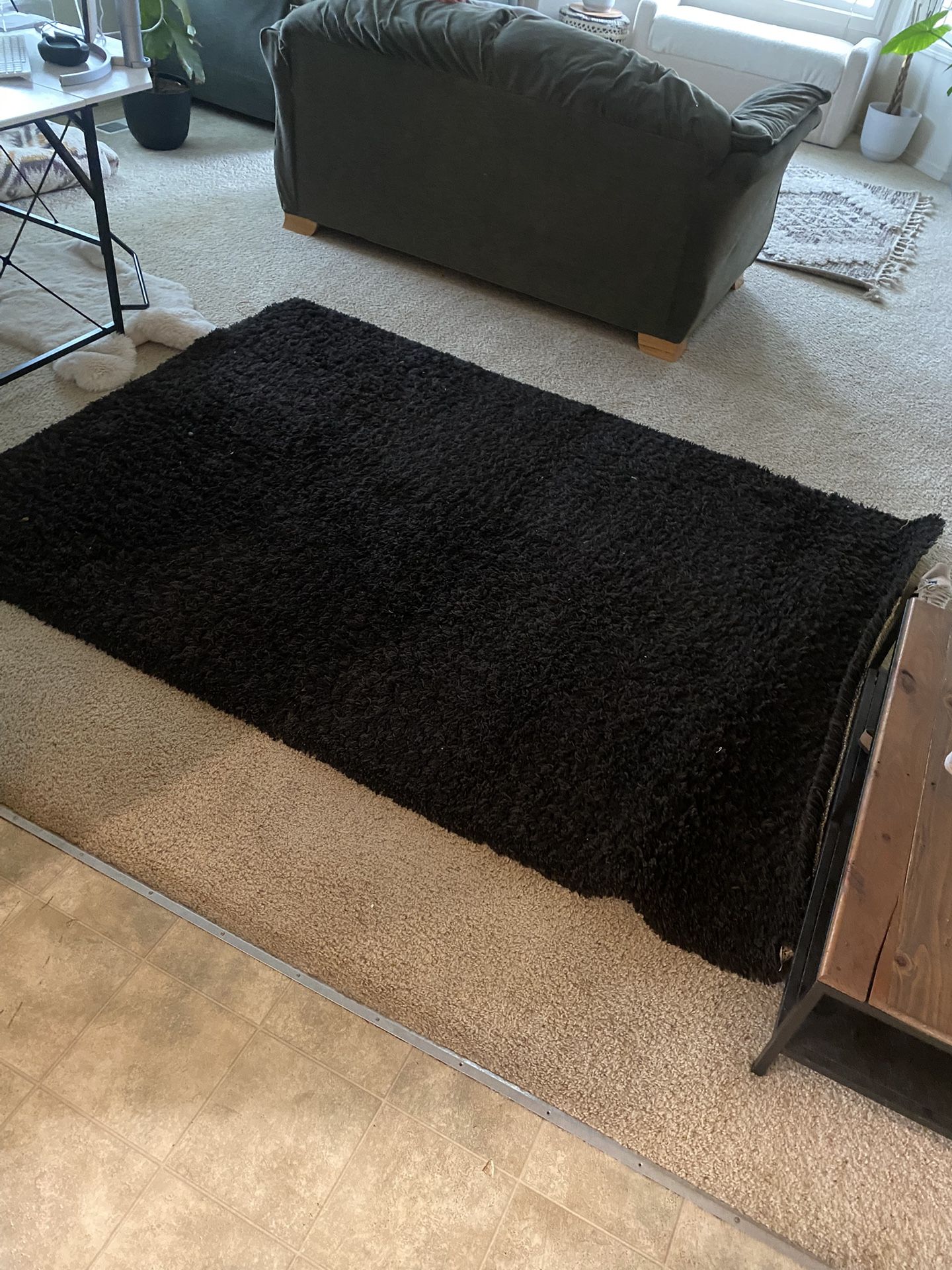 Area Rug 5x7