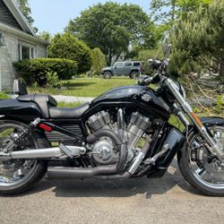 2011 Harley Davidson V rod Muscle