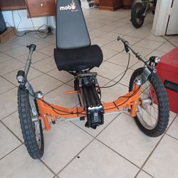 Electric  Trike 3 Wheeler