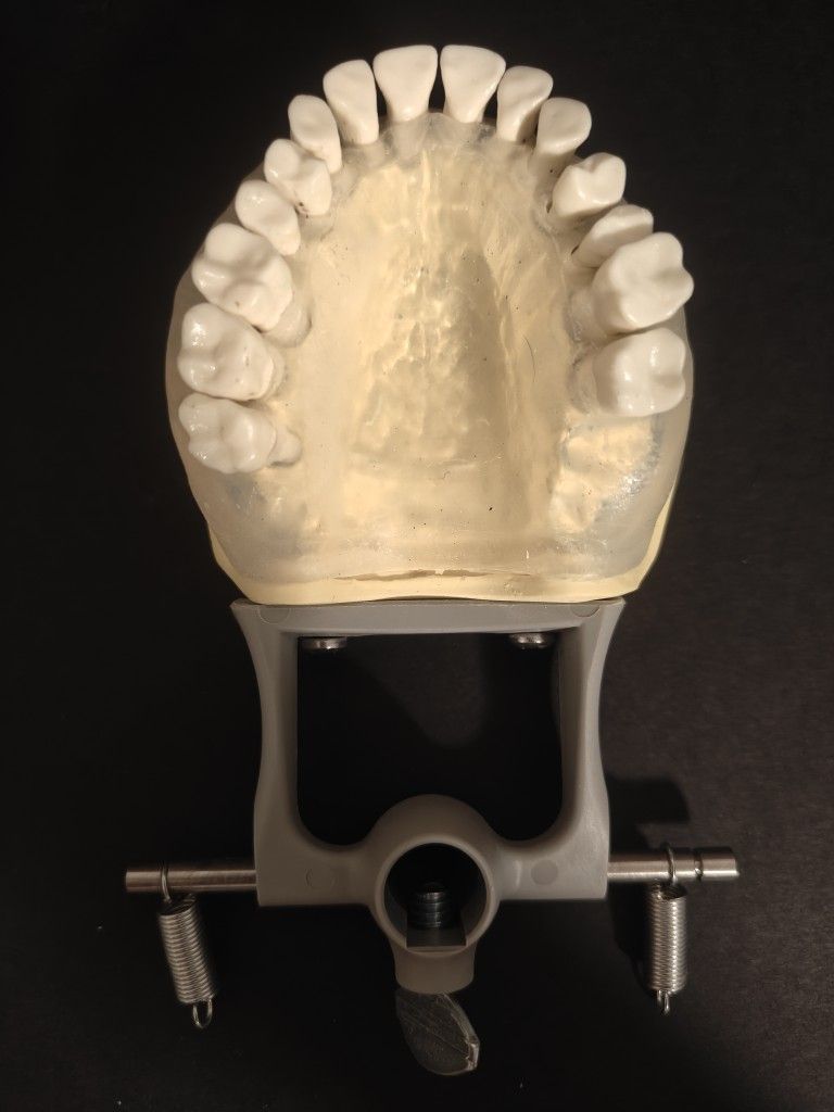 Columbia Periodontal Typodont