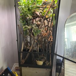 Cham Tank
