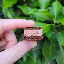 Freeze Dried Ice Cream Sandwhich Bites