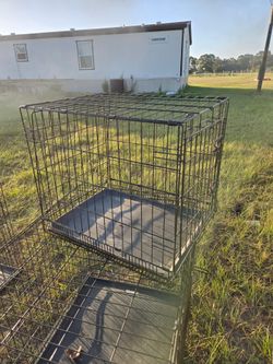 Medium dog cage