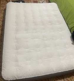 Coleman Inflatable  Bed Queen Size Like New 