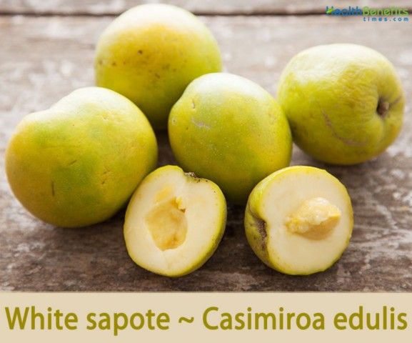 White Sapote Grafted Trees Inb3 Gal Arboles De Sapote Blanco  Matazanos Injertado 3gal