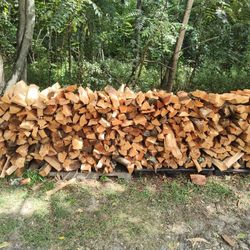 Firewood