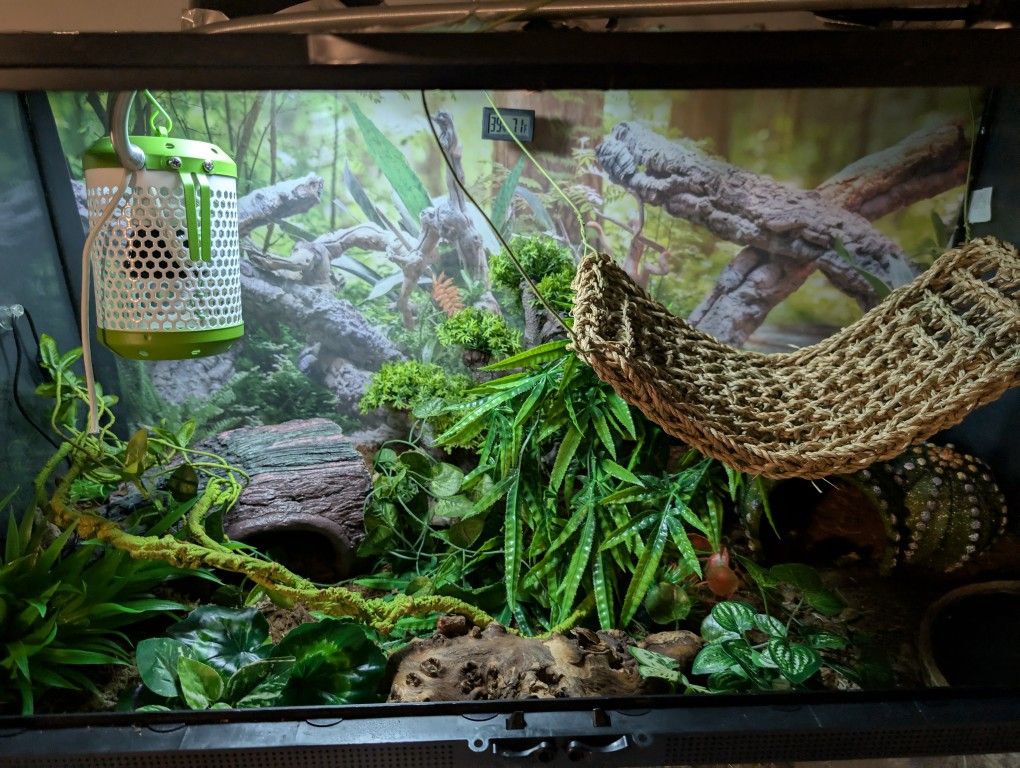 Reptile Enclosure