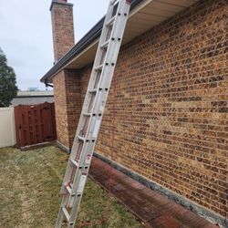 Werner 20' Extension Ladder 