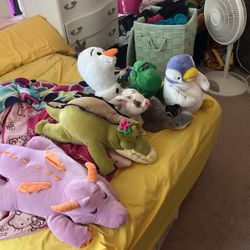 Assorted Disney Plush 