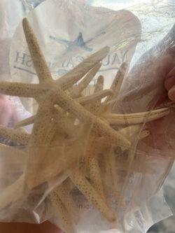 Starfish