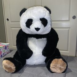 Panda Bear