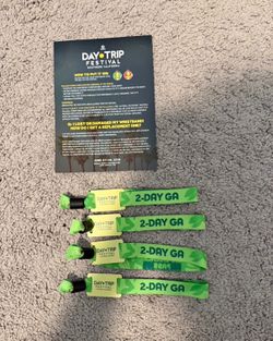 Day Trip 2026 - 4 tickets (Sunday Only)