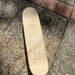 Anti-– hero skateboard classic Eagle Navy complete skateboard
