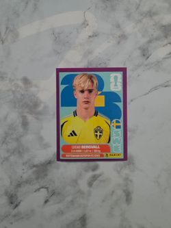 Purple Border WC Stickers